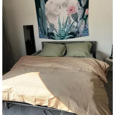Joli Petit Nid Douillet Au Calme Apartment Cholet